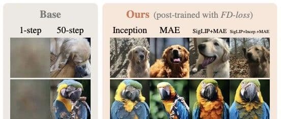 当裁判亲自下场:FD-Loss 如何把 FID 从评测指标变成训练损失